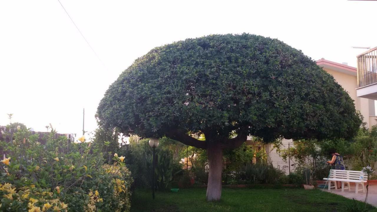 Casa Di Poseidone Holiday home *